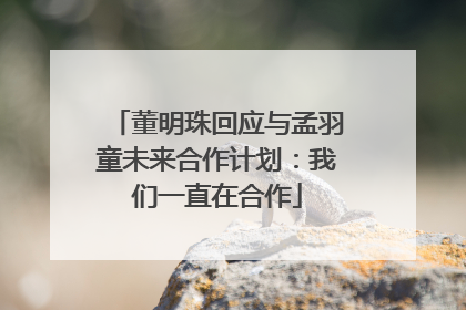 董明珠回应与孟羽童未来合作计划：我们一直在合作
